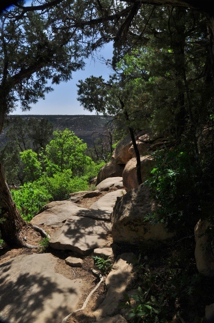 the Petroglyph Trail